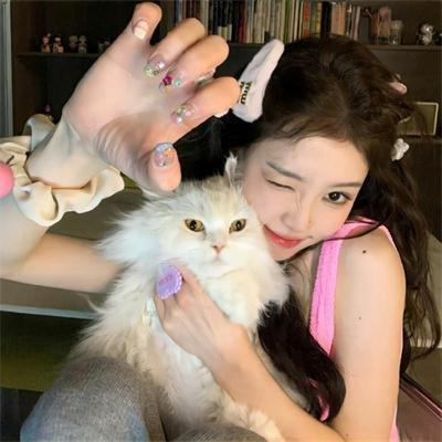 早间新闻第四季